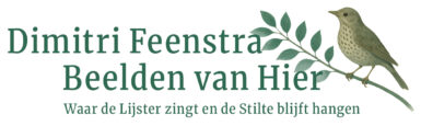 Dimitri Feenstra - Beelden van Hier, kunst van vogels, stilte, natuur.