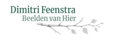 Dimitri Feenstra – Beelden van Hier